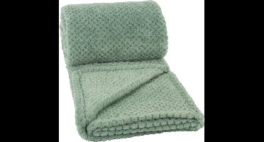Clarysse Coral Fleece Plaid Groen 130x160cm