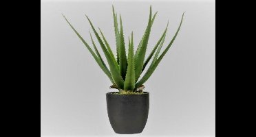 Decoris- Kunstplant- Agave- 33 cm