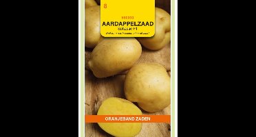Aardappelzaad Soltastic F1 - uniforme aardappelen telen uit zaad