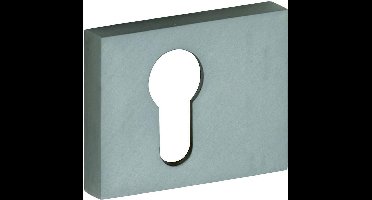 Cilinderrozet - Nikkel mat ongelakt - Messing - M&T - M&T Maya rechthoekig, mat nikkel ongelakt, 60x47x10mm