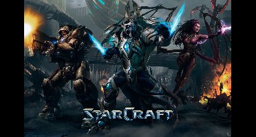 Poster Starcraft - Legacy of the Void 91,5x61cm