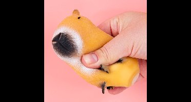 Capibara stressbal van OOTB