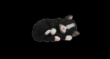 Slapende poes,geschikt voor binnen en buiten,zwart/wit
