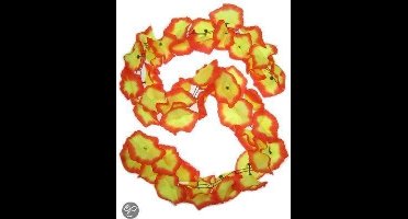 Deur guirlande bloemen geel/rood