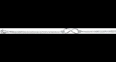 Silver Lining 104.1065.17 Armband Zilver - 20cm