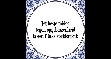 Tegeltje met Spreuk (Tegeltjeswijsheid): Het beste middel tegen opgeblazenheid is een flinke speldenprik + Kado verpakking & Plakhanger