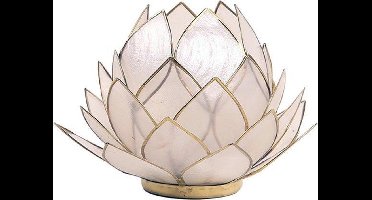 Lotus sfeerlicht naturel groot - 15x15 - Schelp - Naturel - Goudkleurig - S