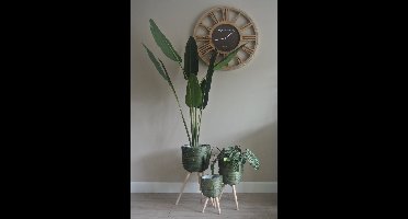 Home & Styling - 3-delige groene Plantenpotten