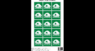 Pictogram sticker E038 Overlevingsvlot - 50x50mm 15 stickers op 1 vel