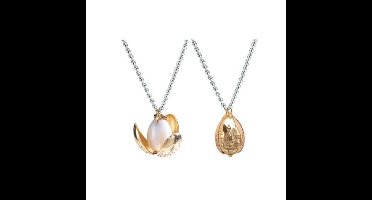 The Noble Collection Harry Potter Ketting The Golden Egg Zilverkleurig/Goudkleurig