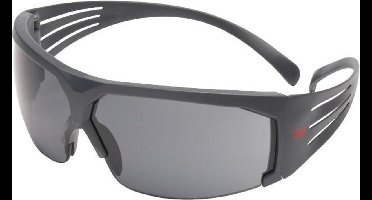 3M™ SecureFit™ 200 Grijze glazen