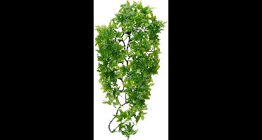ZooMed - naturalistic flora - congo ivy - small - terrariumplant