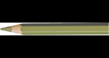 Caran d'Ache Pablo kleurpotlood 018 olive grey