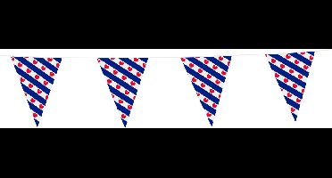 Friesland Vlaggenlijn PVC - 70 Meter - Voordeelverpakking van 7 stuks - Friese Vlaggetjes met Pompeblêden 20x30 cm - Weerbestendige Versiering