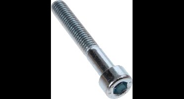 Bofix Inbusbout M6x40 verzinkt (12st)