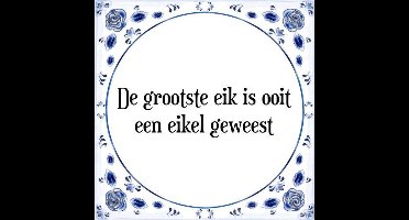 Tegeltje met Spreuk (Tegeltjeswijsheid): De grootste eik is ooit een eikel geweest + Kado verpakking & Plakhanger