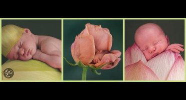 Schmidt Puzzel: Anne Geddes - Tenger Wezentje