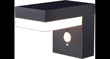 Solar wandlamp buiten 'Oslo' - Met bewegingssensor - IP44 - Warm wit licht (2700K) - 600 lumen - Tuinverlichting op zonne-energie