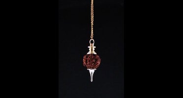 Rudraksha Pendel goudkleurig - 4.5 cm - 10 g
