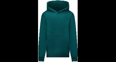 Cars Jeans Hoodie Kimar Jr. - Jongens