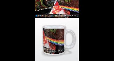 Pink Floyd DSOTM 40th Mok