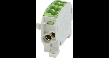 HoraeTec 080110-2-3 Hoofdleiding vertakkingsklem PA, Messing Grijs-wit (RAL 7035), Geel, Groen 1-polig 100 A 690 V Gele