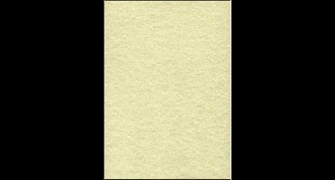 Structuurpapier Sigel A4 200g - Perga champagne pak 50 vel
