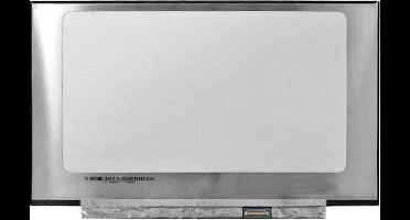LCD Scherm geschikt voor Medion Akoya MD61169