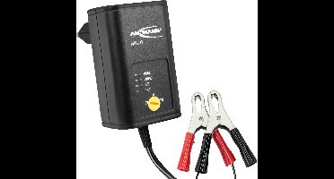 ANSMANN ALCS 2-12 0.4