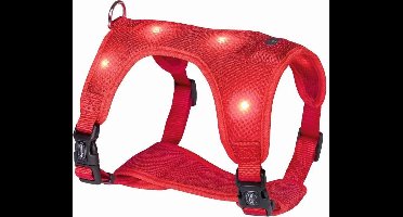 Nobby Tuig Flash Mesh - Rood - L - Borstband 55-70 cm - Buikband 60-80 cm
