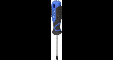 BRILLIANT TOOLS Schroevendraaier TORX T30 - BT034910