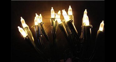 EGB LED 35 kerstlampjes binnen groen 6,8m