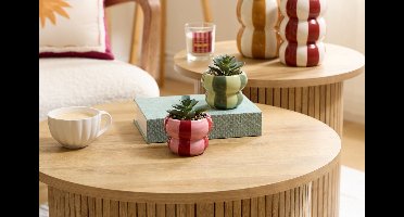 Atmosphera Neya Kunstplant met Pot - Ø9xH10cm - Groen
