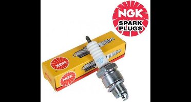 NGK Bougie DCPR6E