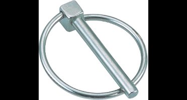Borgpen met ring 4,4 mm RVS-316