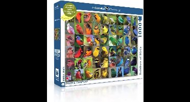 New York Puzzle Company - Cornell Lab Rainbow of Birds - 1000 stukjes puzzel