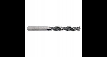 Hikoki houtboor 6x250mm