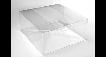 Plastic Doosjes 18,1x18,1x7,6cm Voedselveilig Autolock Bodem (25 stuks) | transparante doosjes | doorzichtige doosjes