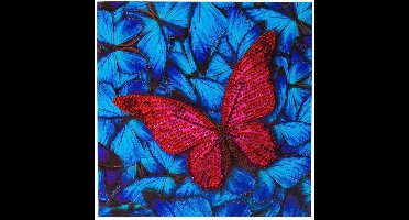 Craft Buddy Crystal Art Diamond Painting Kaart Vlinder