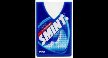 Smint - Suikervrij Mint - 1 stuk