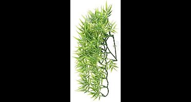 ZooMed - naturalistic flora - madagascar bamboo - small - terrariumplant
