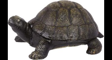 Beeld - Gedetailleerd schildpad - Gietijzer - 12 cm hoog