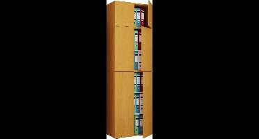 XXL houten kantoorkast archiefkast boeken kantoormeubelen archiefkast Lona 5-voudig A