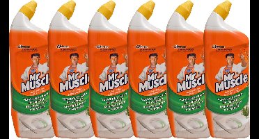 Mr Muscle Toiletreiniger - lost kalkaanslag op - 750 ml - fresh dennen - 6 flessen
