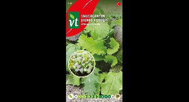 Sla 'Oriental Greens Mix' - Kruidig Mengsel van Oosterse Bladgroenten