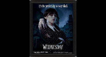Pyramid International Wednesday 3D Lenticular Framed Poster Perfect Day 26 x 20 cm Poster & Wallscrolls