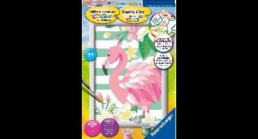 Schilderen Op Nummer - Flamingo