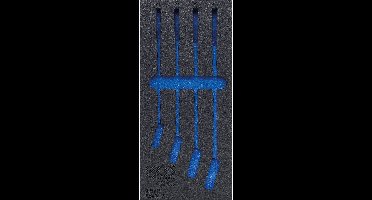 BGS werkplaatswageninzet 1/3 leeg voor art. 4083 - 4083-1