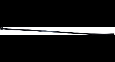 Hendrik Jan ty-raps 250 mm