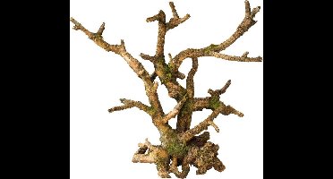 Ebi Decor Bonsai Bruin 26x10.5x24 cm